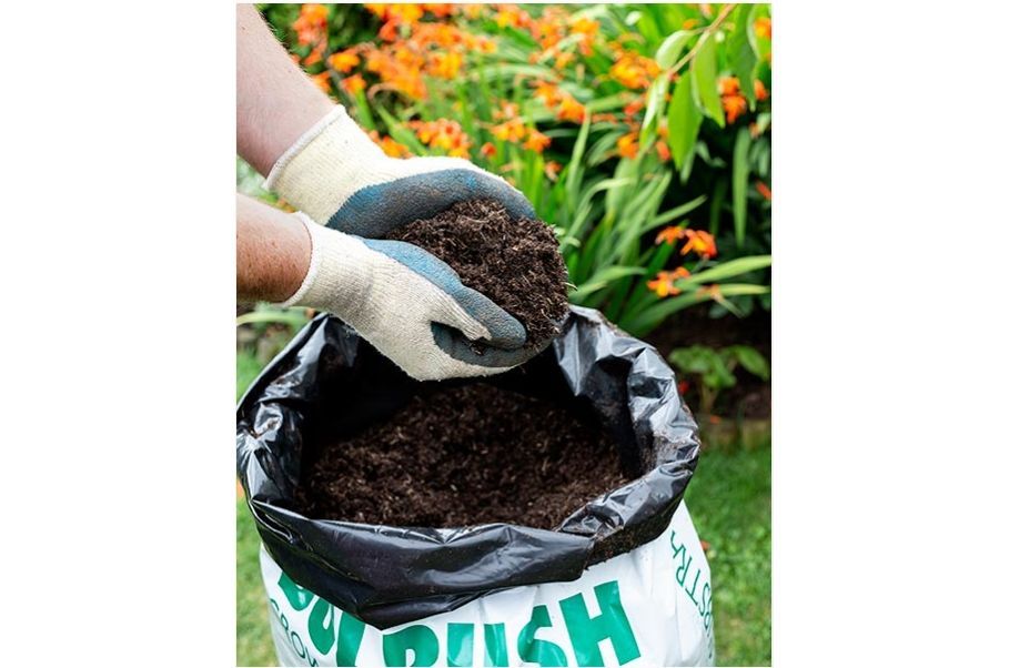 8 x Bulrush Compost 80L - Trioscape Garden Centre