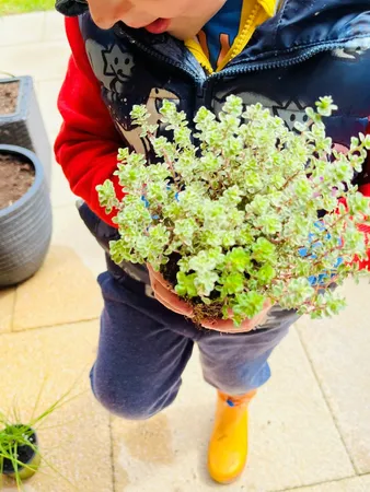 LITTLE GARDENER'S WORKSHOP - Thursday 30th May